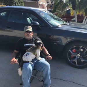 Meet your Posher, Felix